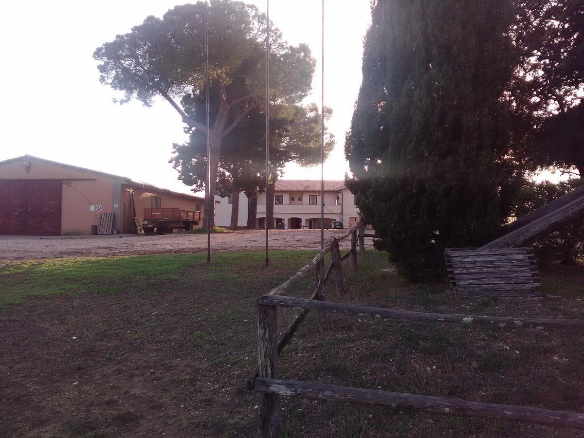 Biocampus La Roccaccia - Universita' Agraria Di טרקיניה מראה חיצוני תמונה