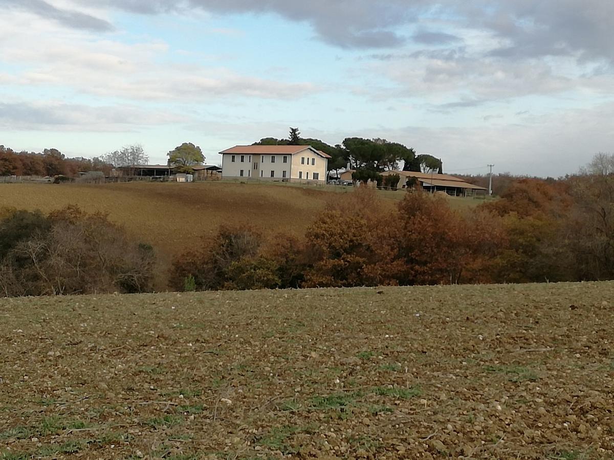 Biocampus La Roccaccia - Universita' Agraria Di טרקיניה מראה חיצוני תמונה