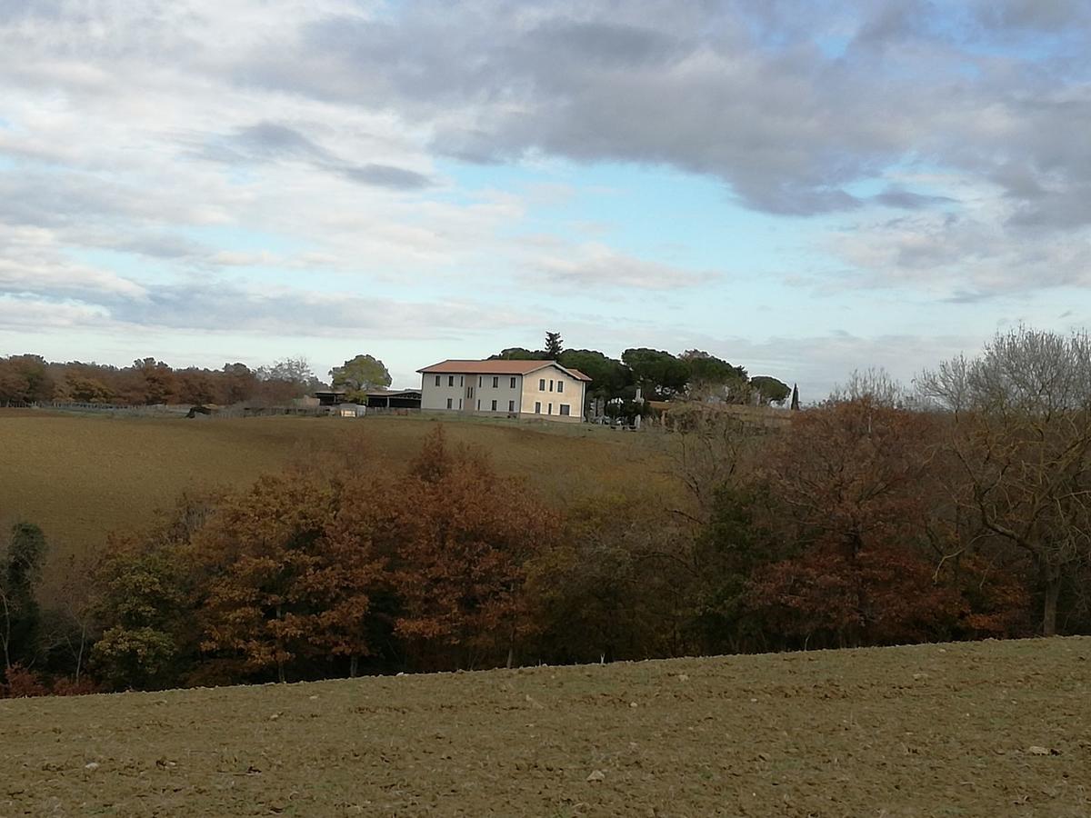 Biocampus La Roccaccia - Universita' Agraria Di טרקיניה מראה חיצוני תמונה